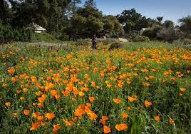 10 Inspiring California Gardens
