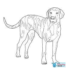 Click on any drawing to color online or print. Basset Hound Coloring Page Free Printable Coloring Pages Pertaining To Basset Hound Coloring Pages Plott Hound Dog Coloring Page Puppy Coloring Pages