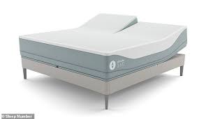 Climate Controlled Mattress At Ces