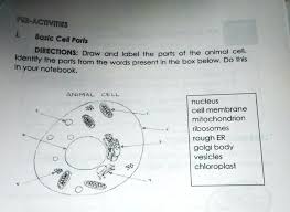 pre activities 1 basic cell parts