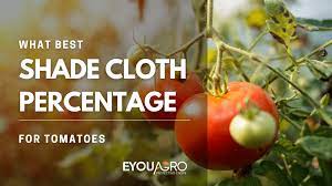 Shade Cloth For Tomatoes