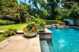 13 Pool Landscaping Plants That Can