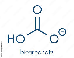 bicarbonate anion chemical structure