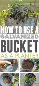 Using Galvanized Containers As Planters