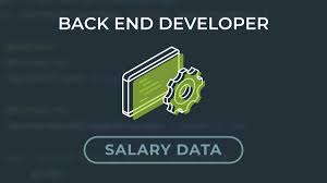 backend developer programmer average