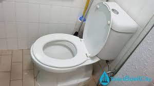 Hdb Bto Toilet Bowl