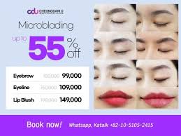 semi permanent makeup in seoul korea