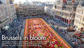 700 000 flowers brussels belgium