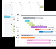 Online Gantt Chart Software Teamgantt