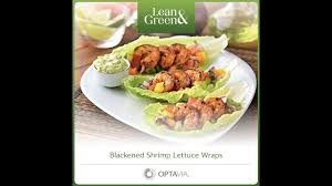 how to find lean and green recipes for