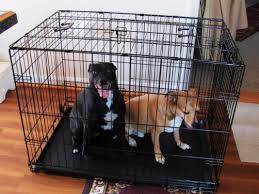 dog cage for large dogs big pet cat
