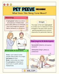 pet ve meaning what does this slang