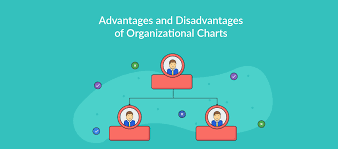 Advantages And Disadvantages Of Organizational Charts