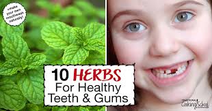 healthy teeth plus diy natural mouthwash