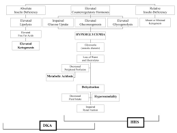 Pathophysiology Of Diabetic Ketoacidosis Dka And Of