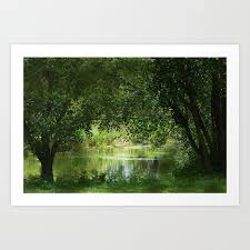 Dreamy Pond With Trees Grass Flowers