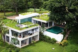 homes with gorgeous green roofs