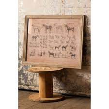 French Equine Anatomy Chart Under Glass Exciting New Collection