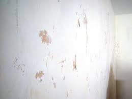 How To Remove Wallpaper Using Solvents