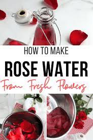 make rose water using fresh flowers