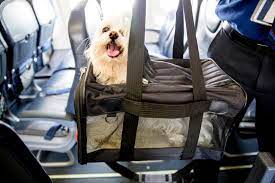 united airlines announces new pet