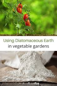 using diatomaceous earth in the garden