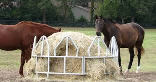 quality hay to horses