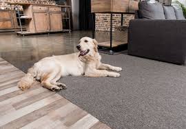 6 dog proof flooring options that will