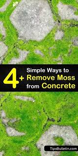 Moss Clean Concrete Moss Removal