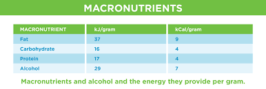 The prefix macro comes from the greek word makros, which means large or long. macronutrients refer to nutrients that you need in large amounts. Macronutrients And Micronutrients New Image International Indonesia