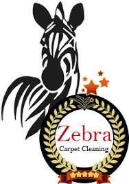 zebra carpet cleaning league city texas