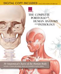 The Complete Portfolio Of Human Anatomy And Pathology Digital Copy
