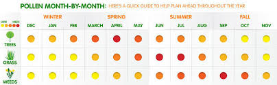 Month By Month Allergy Guide Ira Childrens Clinic