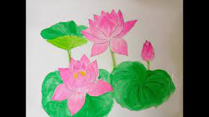 Vẽ hoa sen đơn giản, vẽ bông sen , tô màu bông hoa sen | tô màu bông hoa |  Hướng dẫn vẽ tranh đẹp nhất - Việt Nam Brand