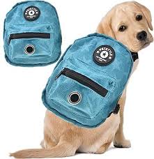 dog backpack harness with leash with