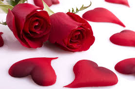 red roses and s wallpapers and