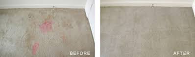 top notch residential carpet cleaning