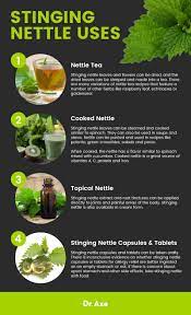 stinging nettle benefits uses and side