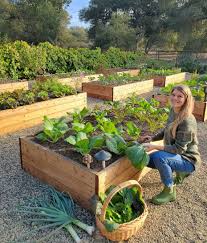 how to build a raised garden bed step