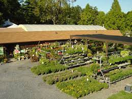 Garden Center In Burlington County