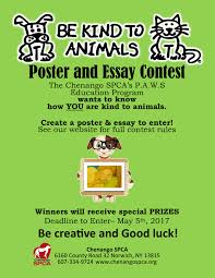 essay contest      prompts