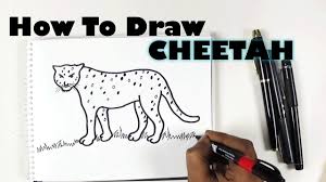 Draw the upper back in a slight curve. Cheetah Drawing Easy For Kids