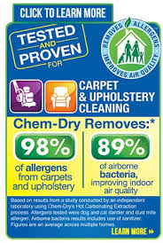 carpet cleaning arlington tx young s