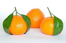 Orange Fruit Wikipedia