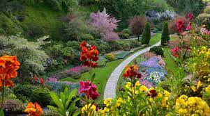 ultimate guide to the butchart gardens