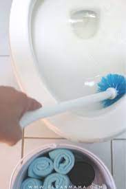 how to naturally clean a toilet clean