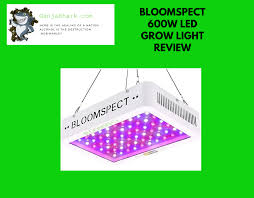Bloomspect 600w Led Grow Light Review 2020 Update