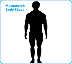 Mesomorph Body Shape Diet Plan Workout Routine