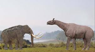 Largest Prehistoric Mammals Our Planet