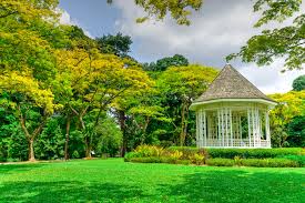 singapore botanic gardens in tanglin